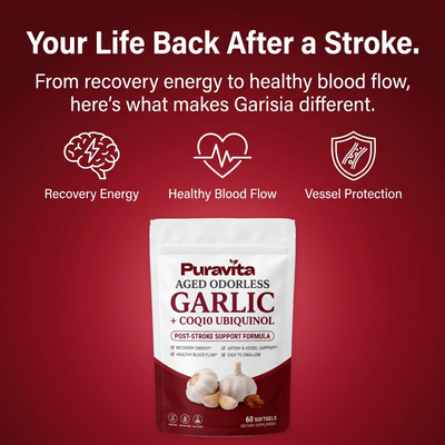 Puravita Post-Stroke Recovery Support