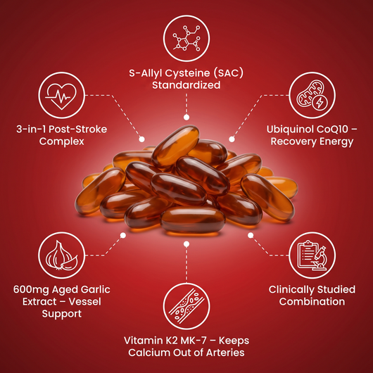 Puravita Post-Stroke Recovery Support
