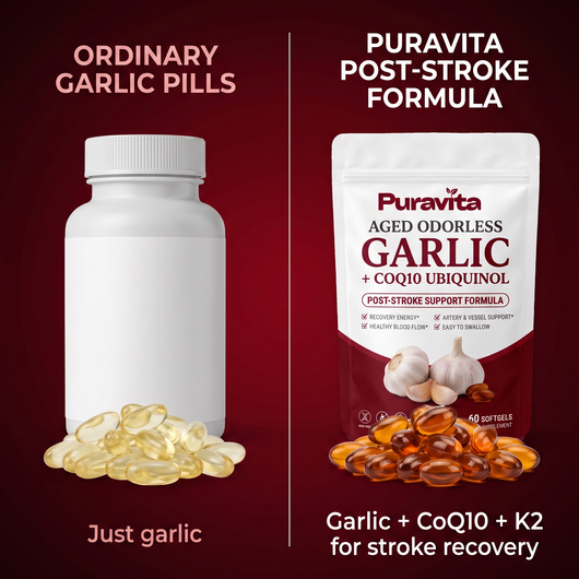 Puravita Post-Stroke Recovery Support